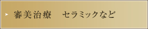 審美治療　セラミックなど