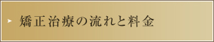 矯正治療の流れと料金