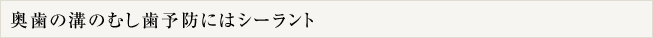 奥歯の溝のむし歯予防にはシーラント